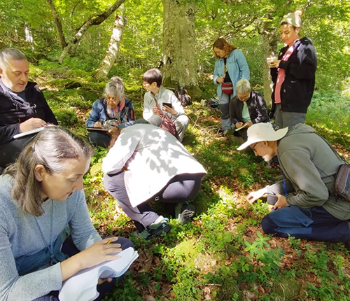 12&egrave; Curs de flora aranesa a l'Aran Hostel de Salard&uacute; - Juliol 2026