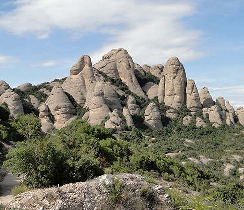 Marxa nordica Olesa (balcons de Montserrat)