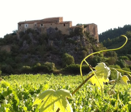 Santa Susanna entre cultius i excursionistes