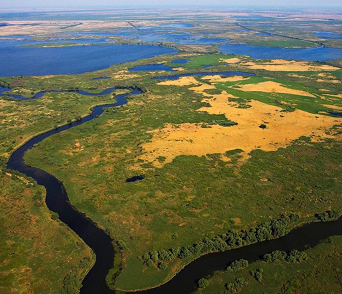 Safari ornitol&ograve;gic al Delta del Danubi (Romania) - Juliol 2026