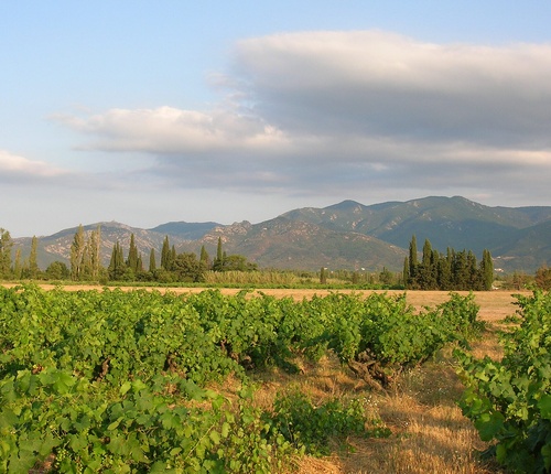 Serra de l'Albera