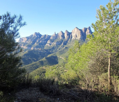 Exploraci&oacute; bot&agrave;nica al peu de Montserrat (activitat tem&agrave;tica 150&egrave;) image number 0