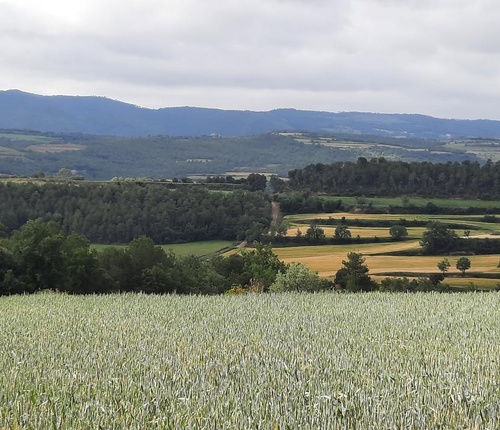 Caminant per Oratjol de la Serra amb Eduard Girbal
