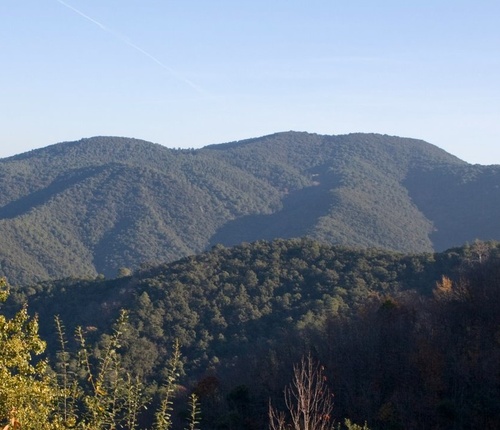 GM4C (petits) - 8 de novembre - Sortida de territori al Montnegre i el Corredor - 2026